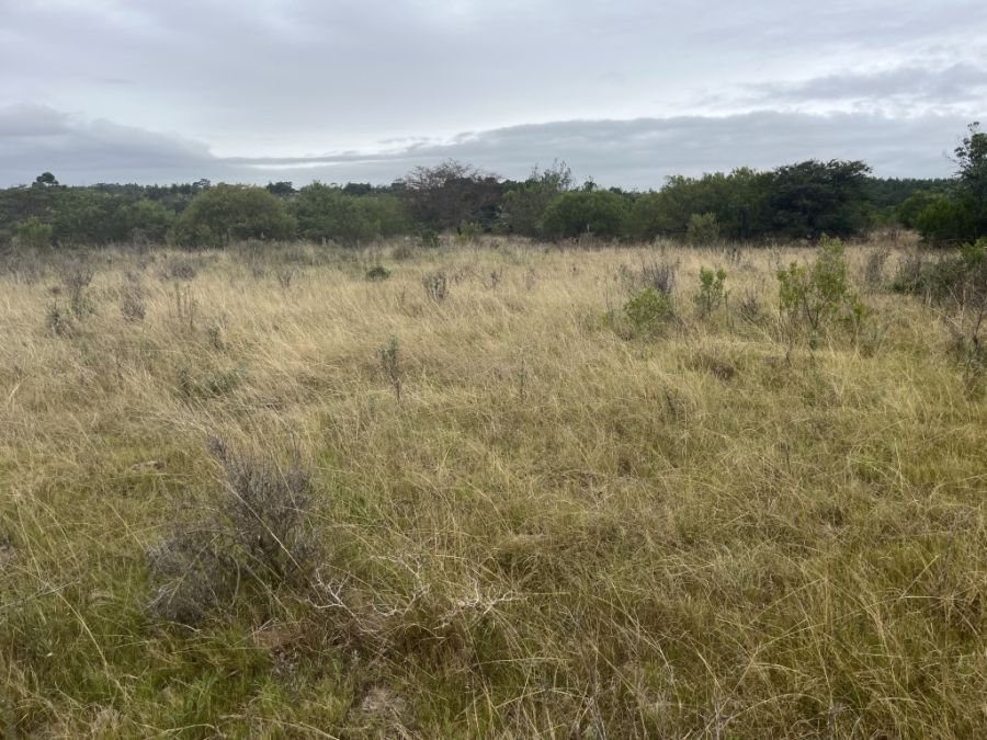 Commercial Property for Sale in Bathurst Rural Eastern Cape
